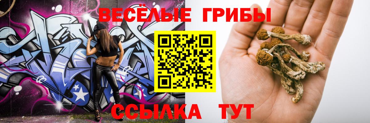 Галлюциногенные грибы мухоморы  Вход с VPN  что такое   Верхняя Салда 